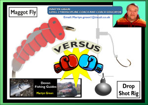 Link to Video: Maggot Fly Versus Drop Shot Rig