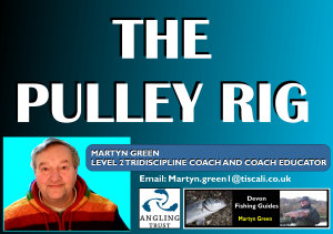 Link to Video: The Pulley Rig