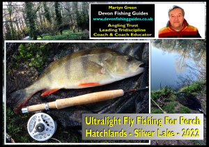 Link to Video: Ultralight Fly Fishing for Perch